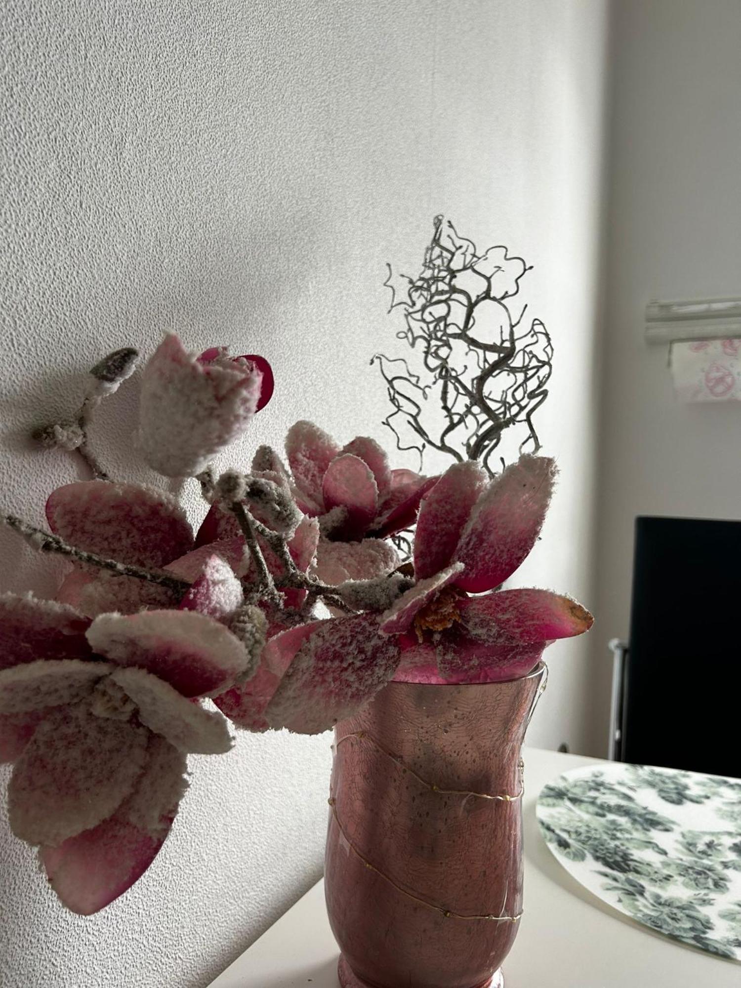 Gemuetliche Ferienwohnung-Appartement バート・エーンハウゼン エクステリア 写真